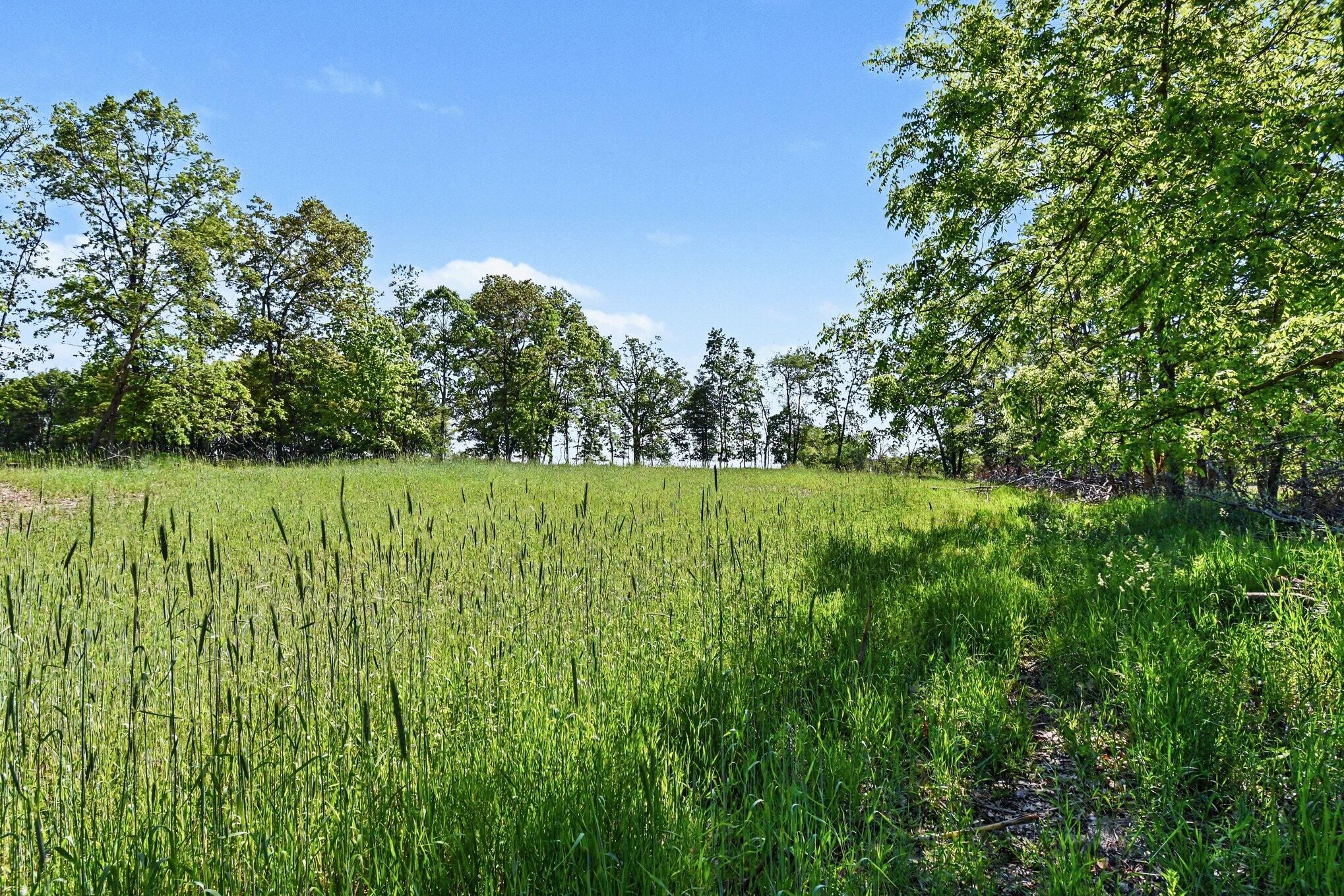 0 East Charles Road Ionia, MI 48846 - Photo 1 of 25 001_file_4413