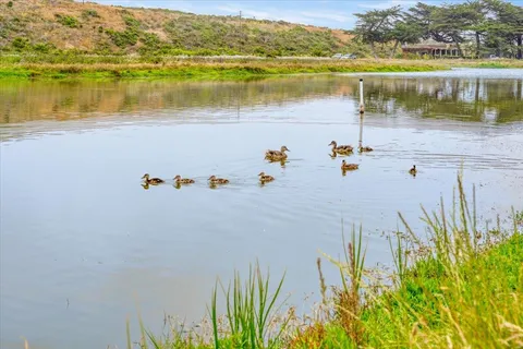a view of lake