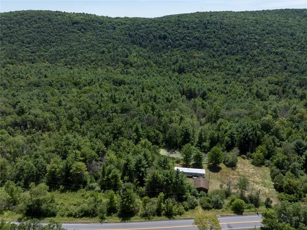 $159,000 | 8230 County Route 16, Savona, NY 14879