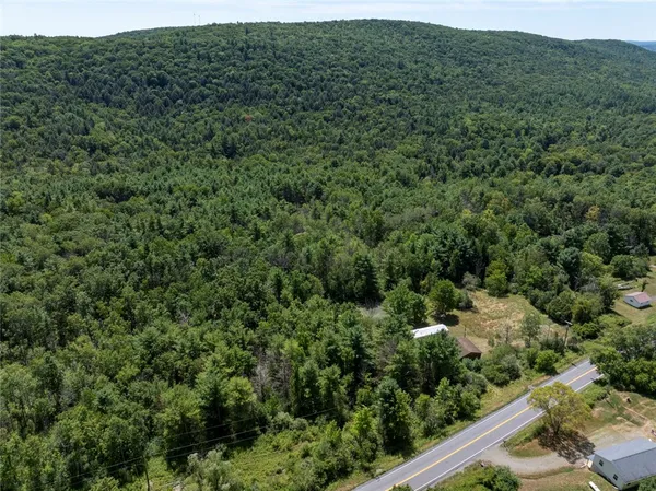 $159,000 | 8230 County Route 16, Savona, NY 14879