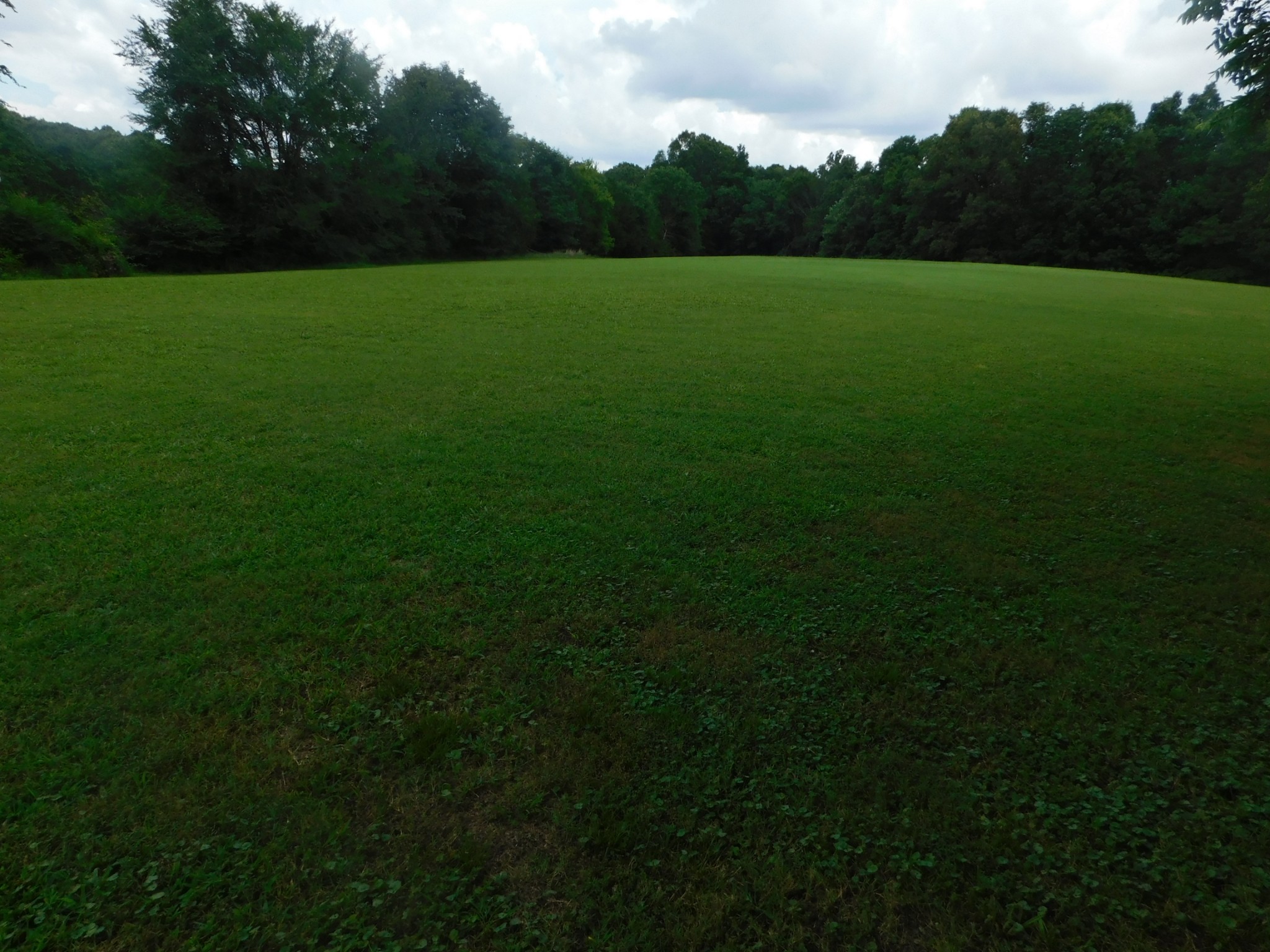 410 Mcmurray Road Parsons, TN 38363 - Photo 12 of 21 Gallery Image 12