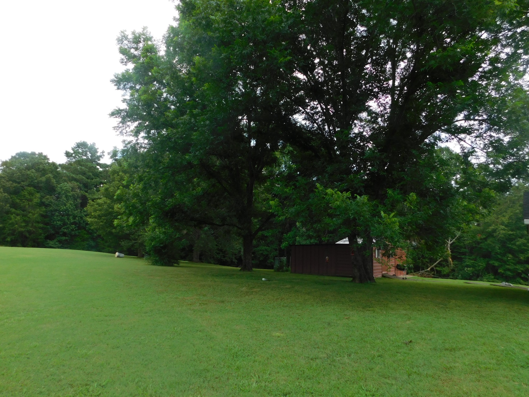 410 Mcmurray Road Parsons, TN 38363 - Photo 17 of 21 Gallery Image 17