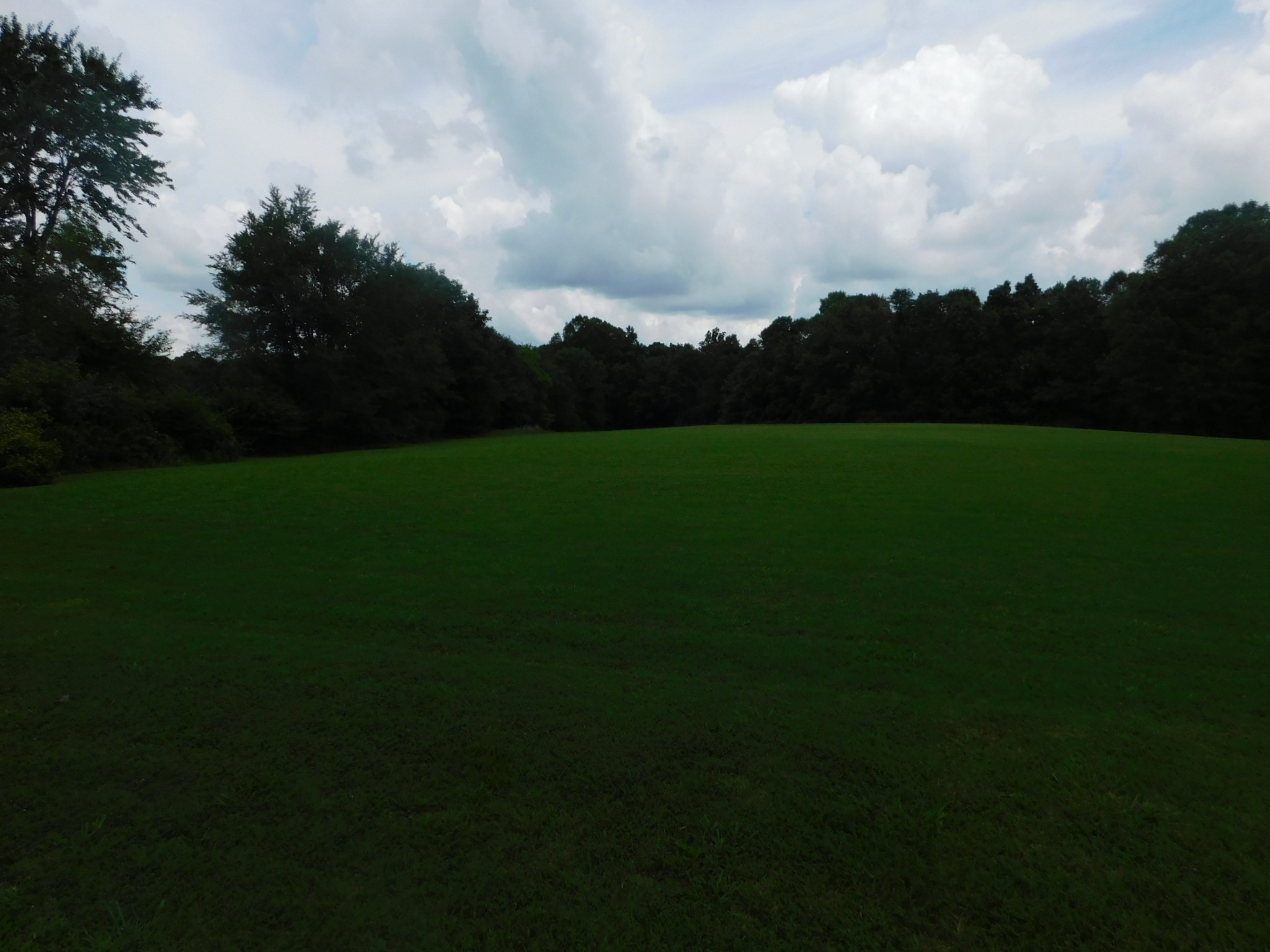 410 Mcmurray Road Parsons, TN 38363 - Photo 18 of 21 Gallery Image 18