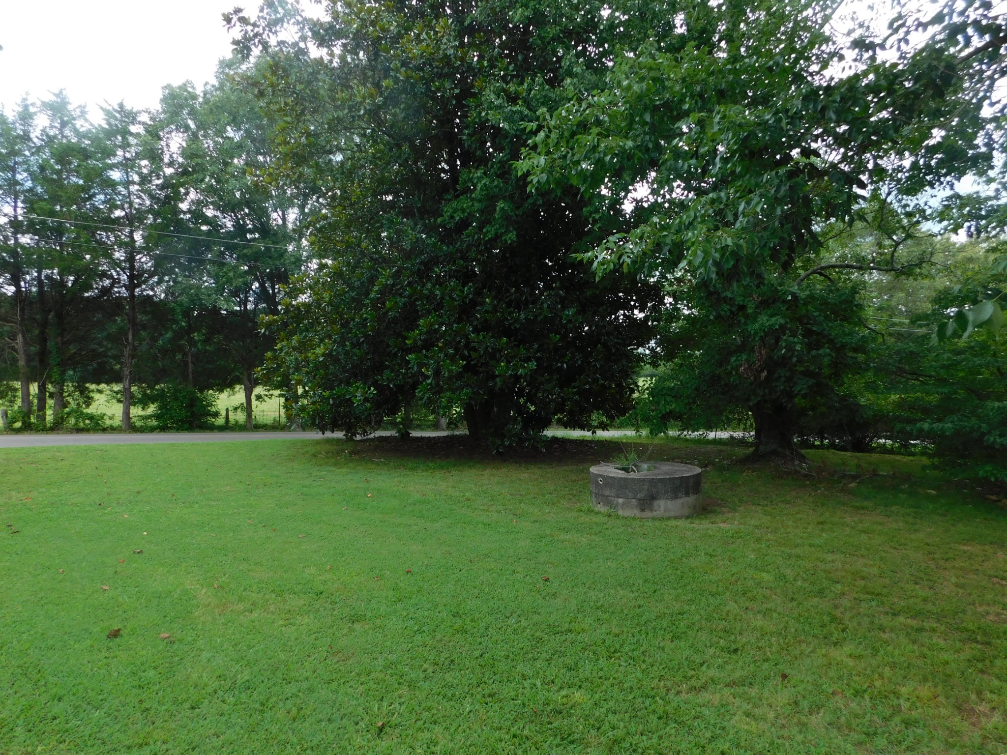 410 Mcmurray Road Parsons, TN 38363 - Photo 19 of 21 Gallery Image 19