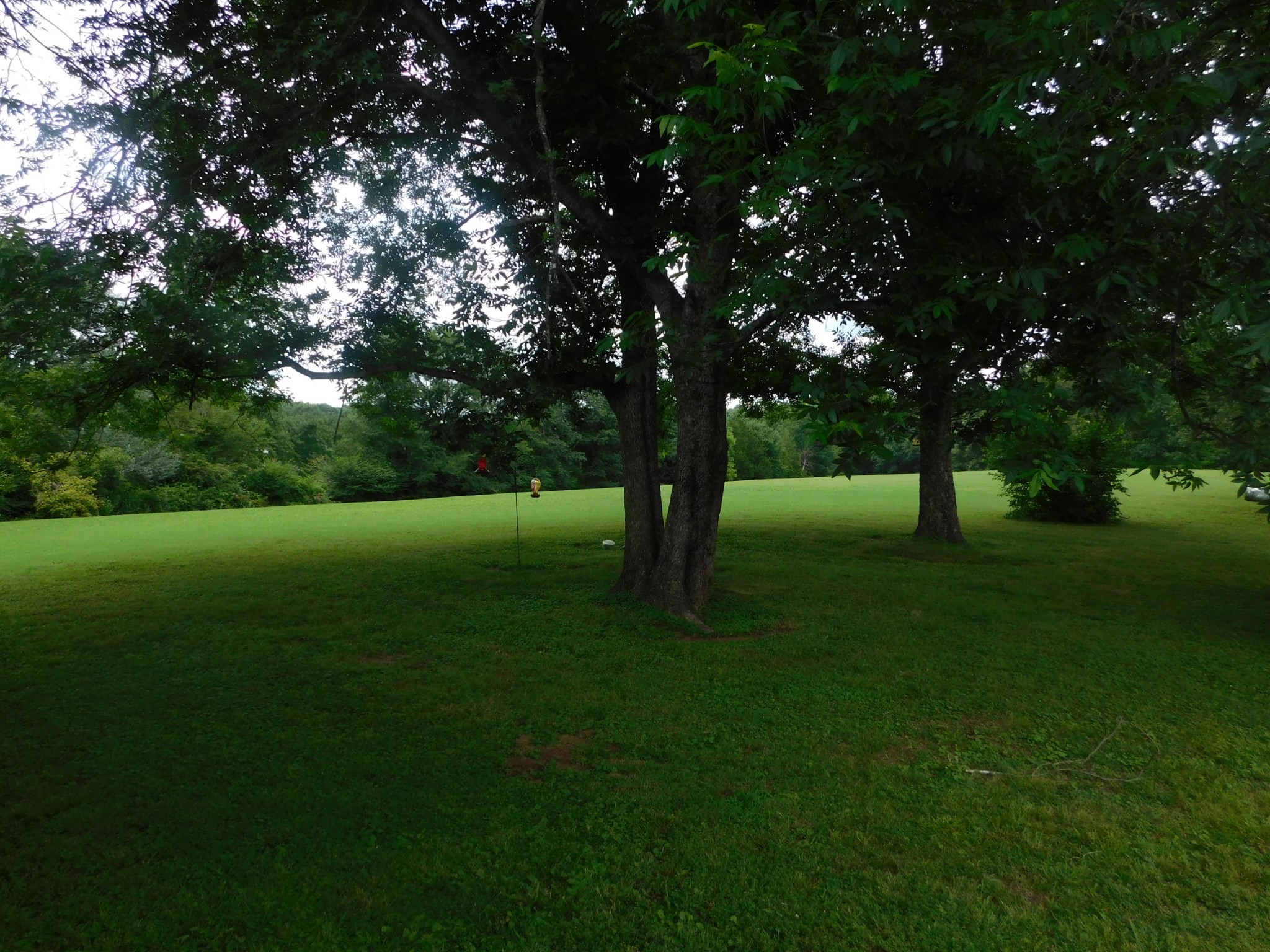 410 Mcmurray Road Parsons, TN 38363 - Photo 10 of 21 Gallery Image 10