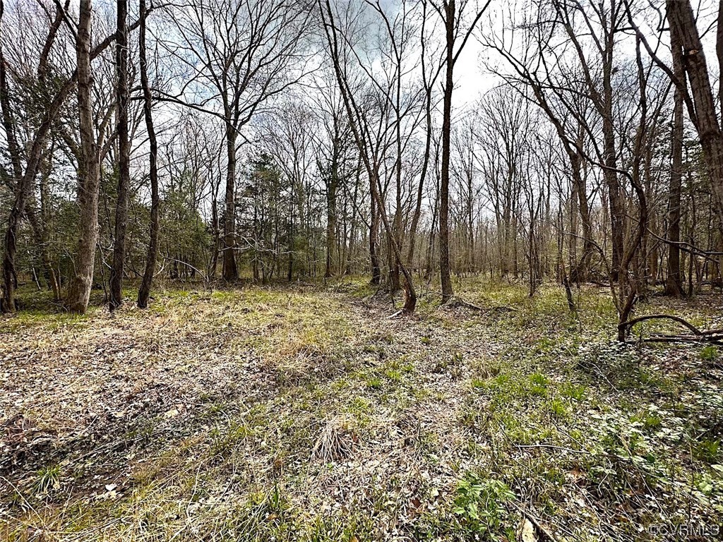 13504 Scotts Road Dewitt, VA 23840 - Photo 25 of 50 a backyard of a house with lots of trees