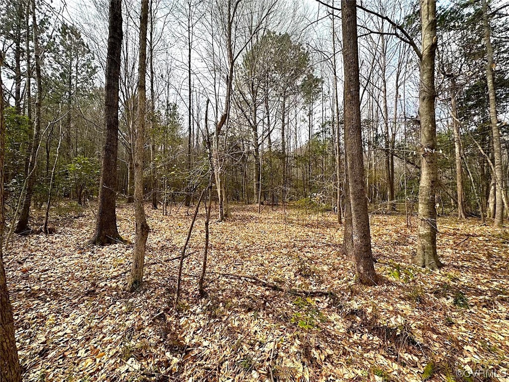 13504 Scotts Road Dewitt, VA 23840 - Photo 33 of 50 a view of a forest filled with trees
