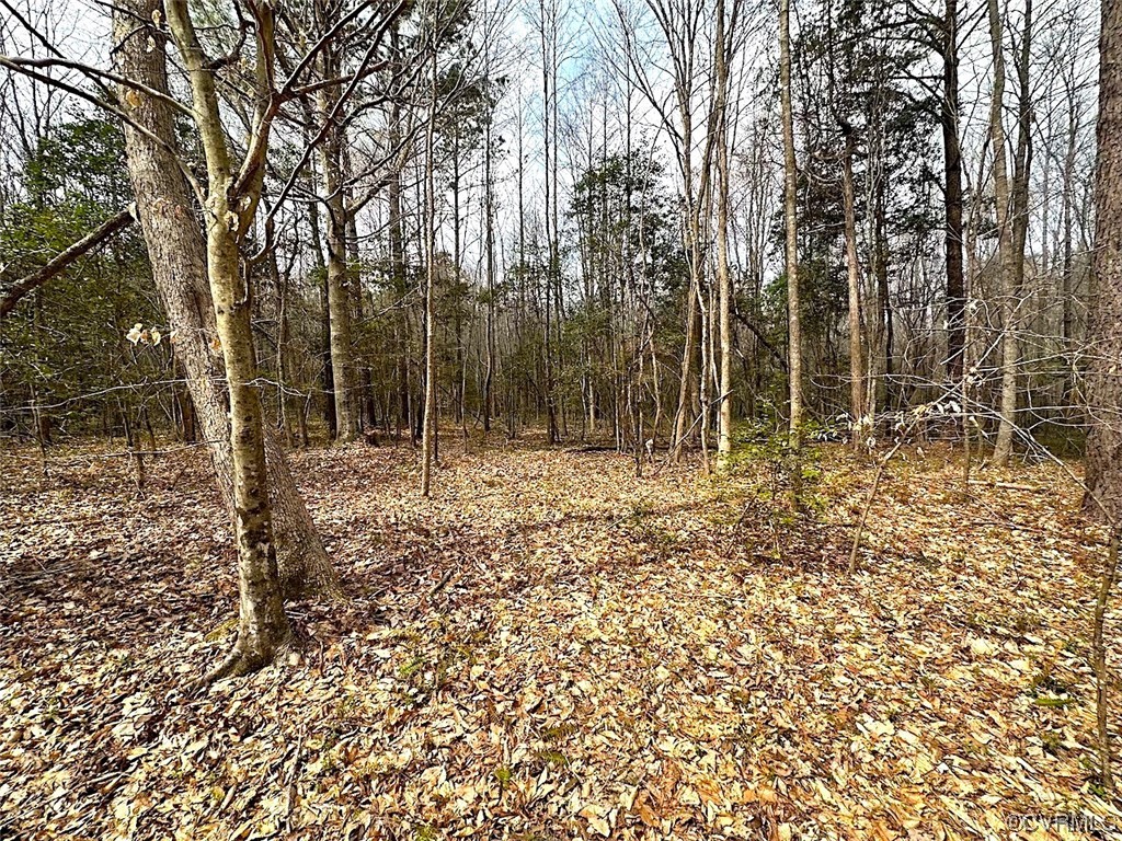 13504 Scotts Road Dewitt, VA 23840 - Photo 35 of 50 a backyard of a house with lots of green space
