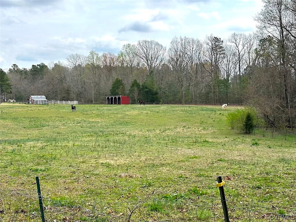 13504 Scotts Road Dewitt, VA 23840 - Photo 40 of 50 a big yard with lots of green space and plants
