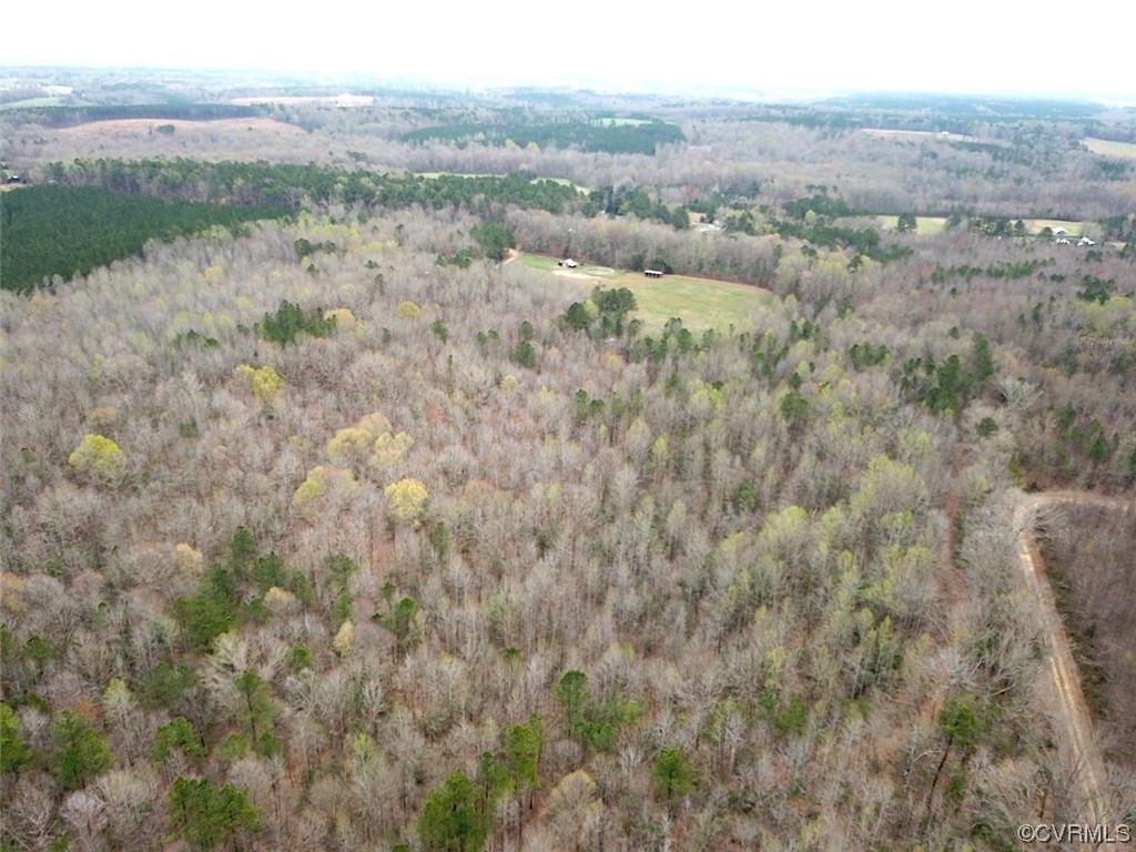 13504 Scotts Road Dewitt, VA 23840 - Photo 41 of 50 a view of a forest with trees in the background