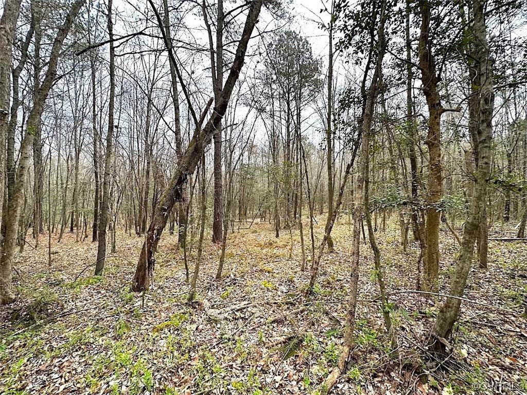 13504 Scotts Road Dewitt, VA 23840 - Photo 43 of 50 a view of yard