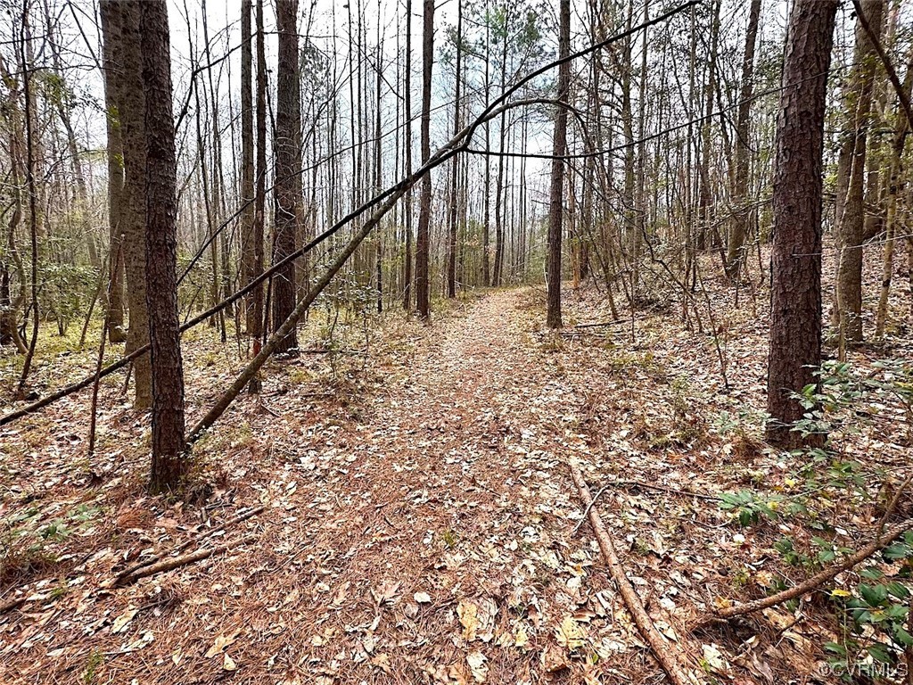 13504 Scotts Road Dewitt, VA 23840 - Photo 45 of 50