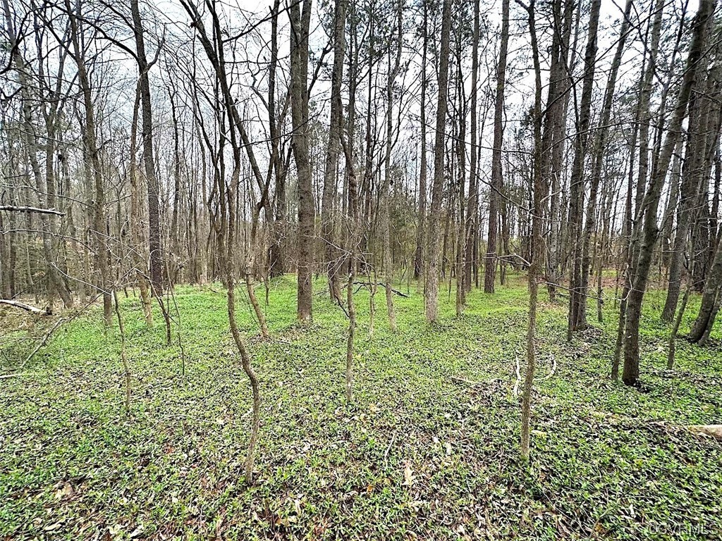 13504 Scotts Road Dewitt, VA 23840 - Photo 46 of 50 a big yard with lots of green space and trees