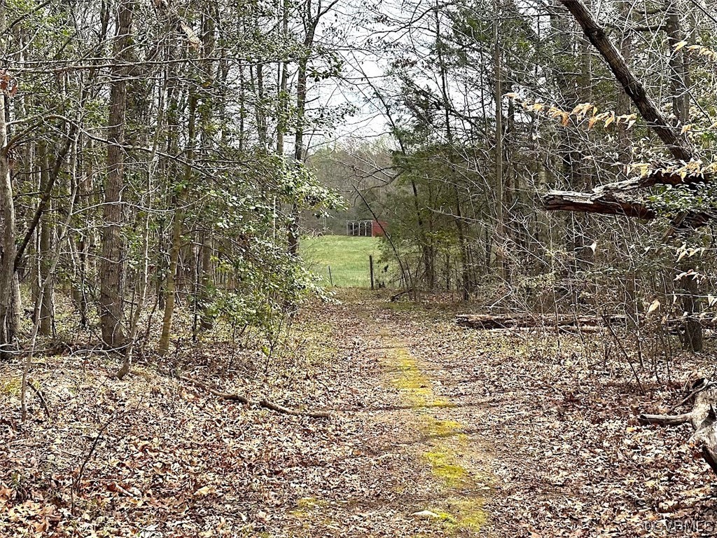13504 Scotts Road Dewitt, VA 23840 - Photo 49 of 50 a view of a pathway with a wrought fence