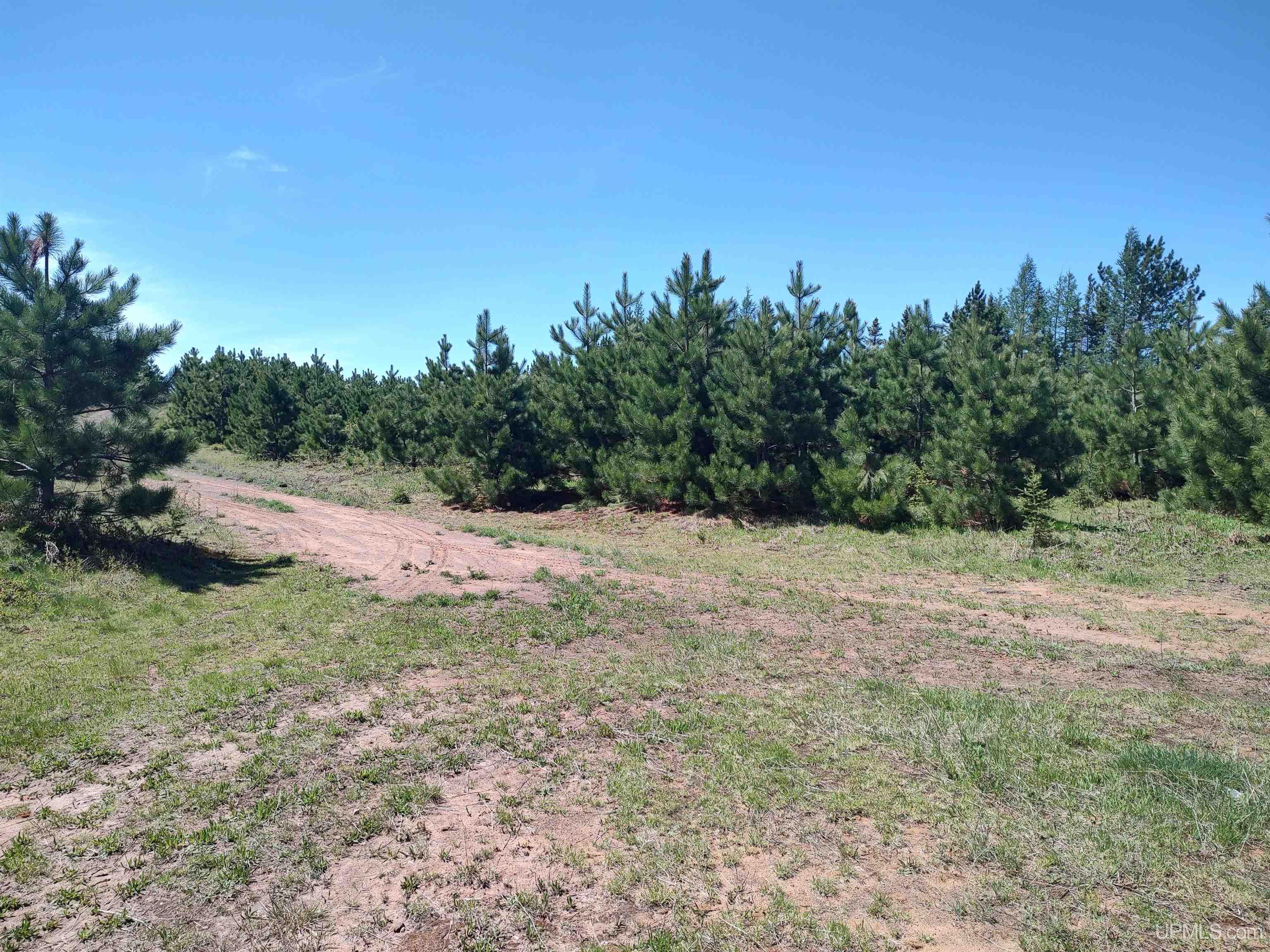 58-acres Co Rd Fn Road Champion, MI 49814 - Photo 23 of 27