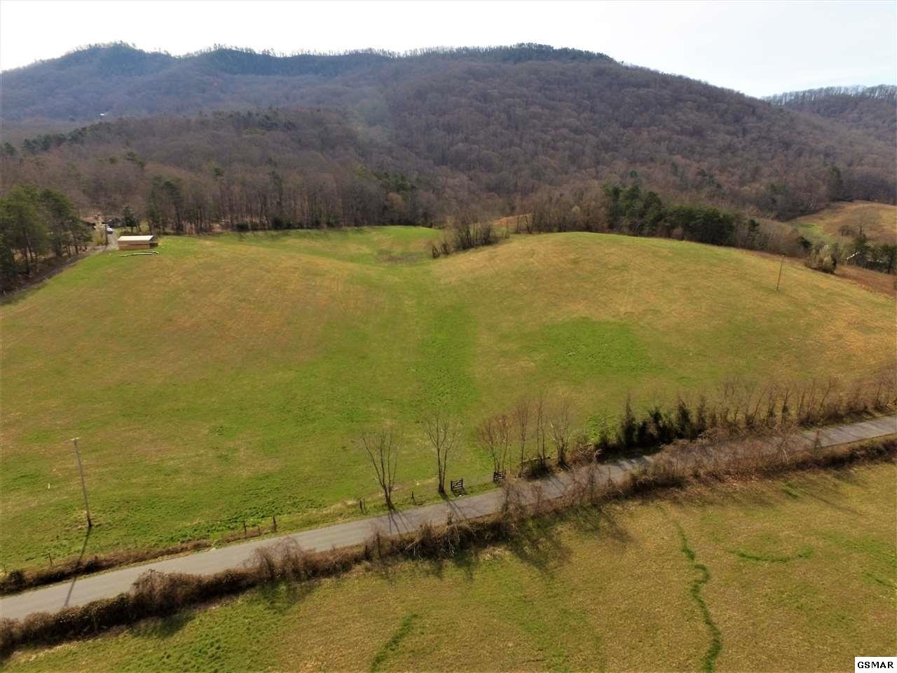 685 Thomas Loop Road Sevierville, TN 37876 - Photo 4 of 18 a view of an ocean and mountain