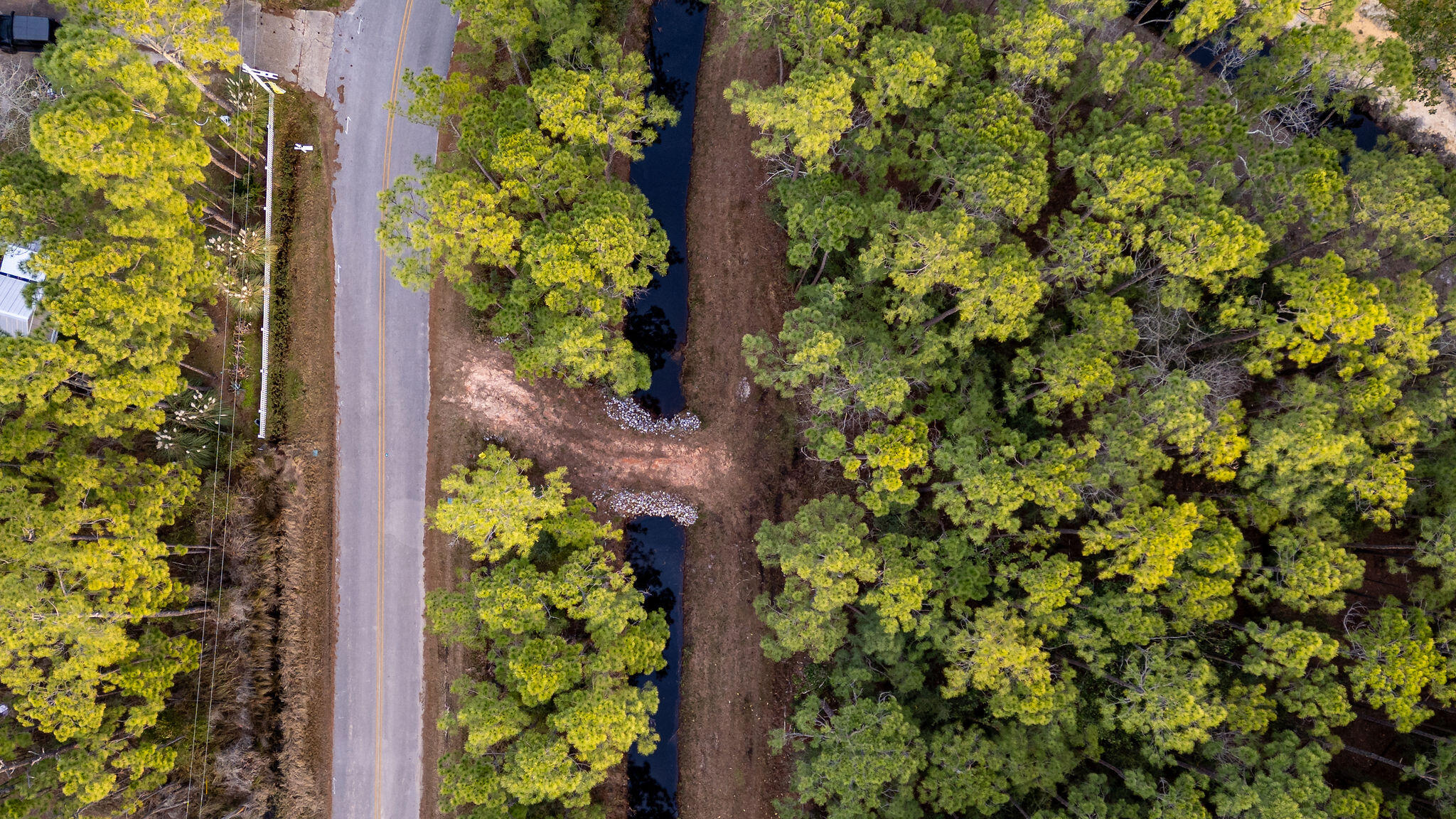 Lot 4 Whisper Lane Santa Rosa Beach, FL 32459 - Photo 12 of 22 view of a yard with plants
