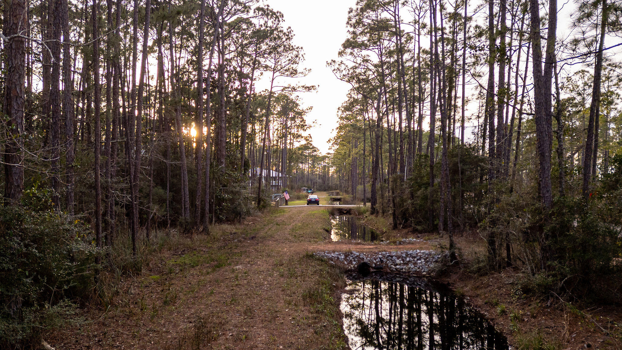 Lot 4 Whisper Lane Santa Rosa Beach, FL 32459 - Photo 13 of 22 a view of a forest filled with trees