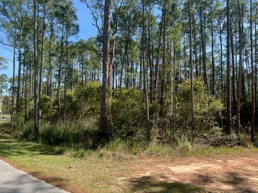 Lot 4 Whisper Lane Santa Rosa Beach, FL 32459 - Photo 18 of 22 a view of outdoor space and trees