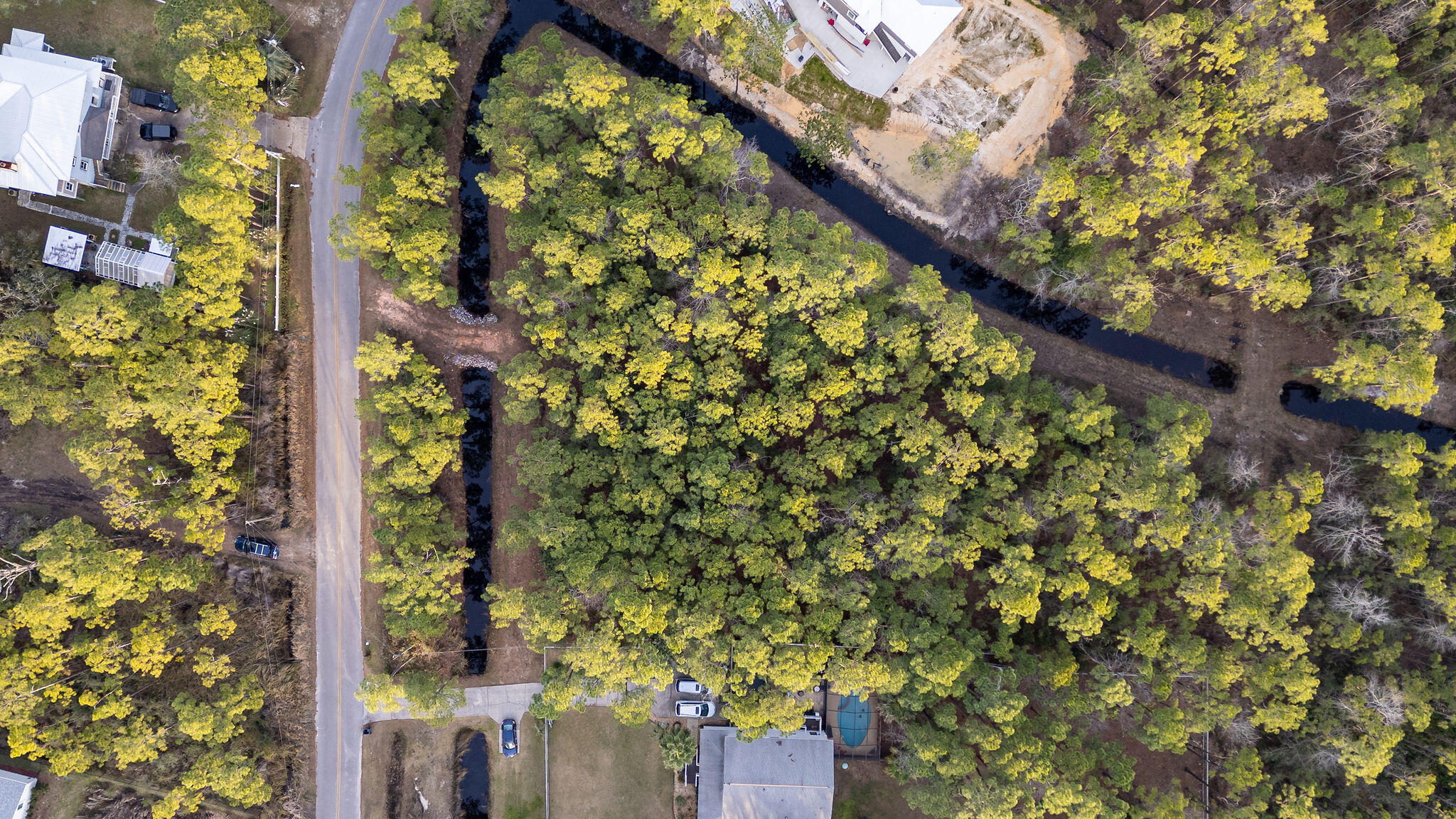 Lot 4 Whisper Lane Santa Rosa Beach, FL 32459 - Photo 8 of 22 a picture of a tree