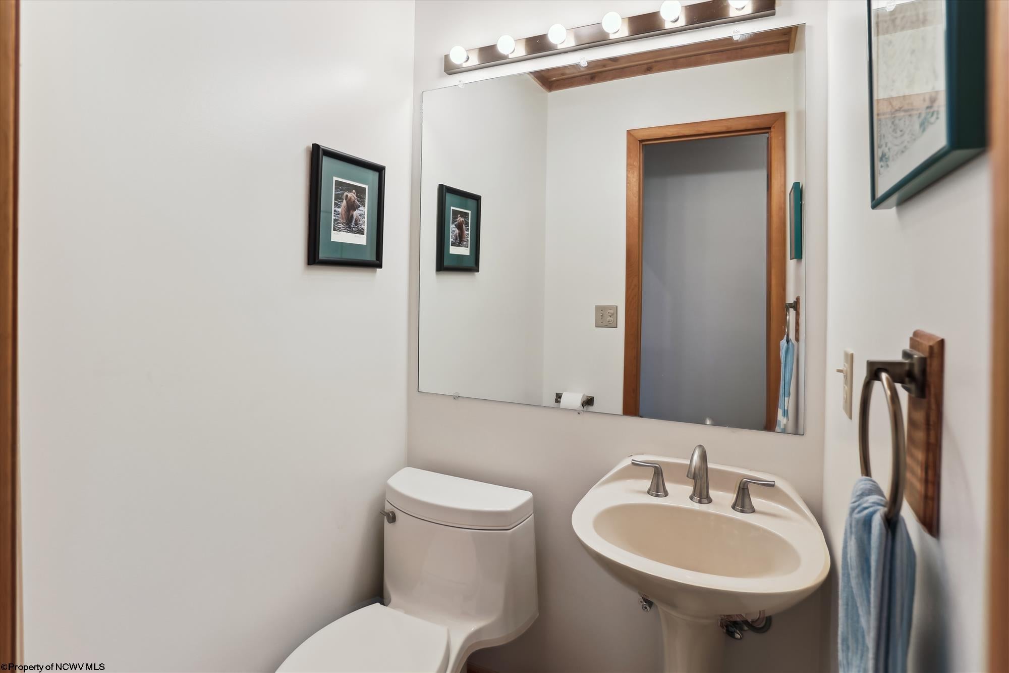809 Lakeview Road Davis, WV 26260 - Photo 25 of 45 Gallery Image 25