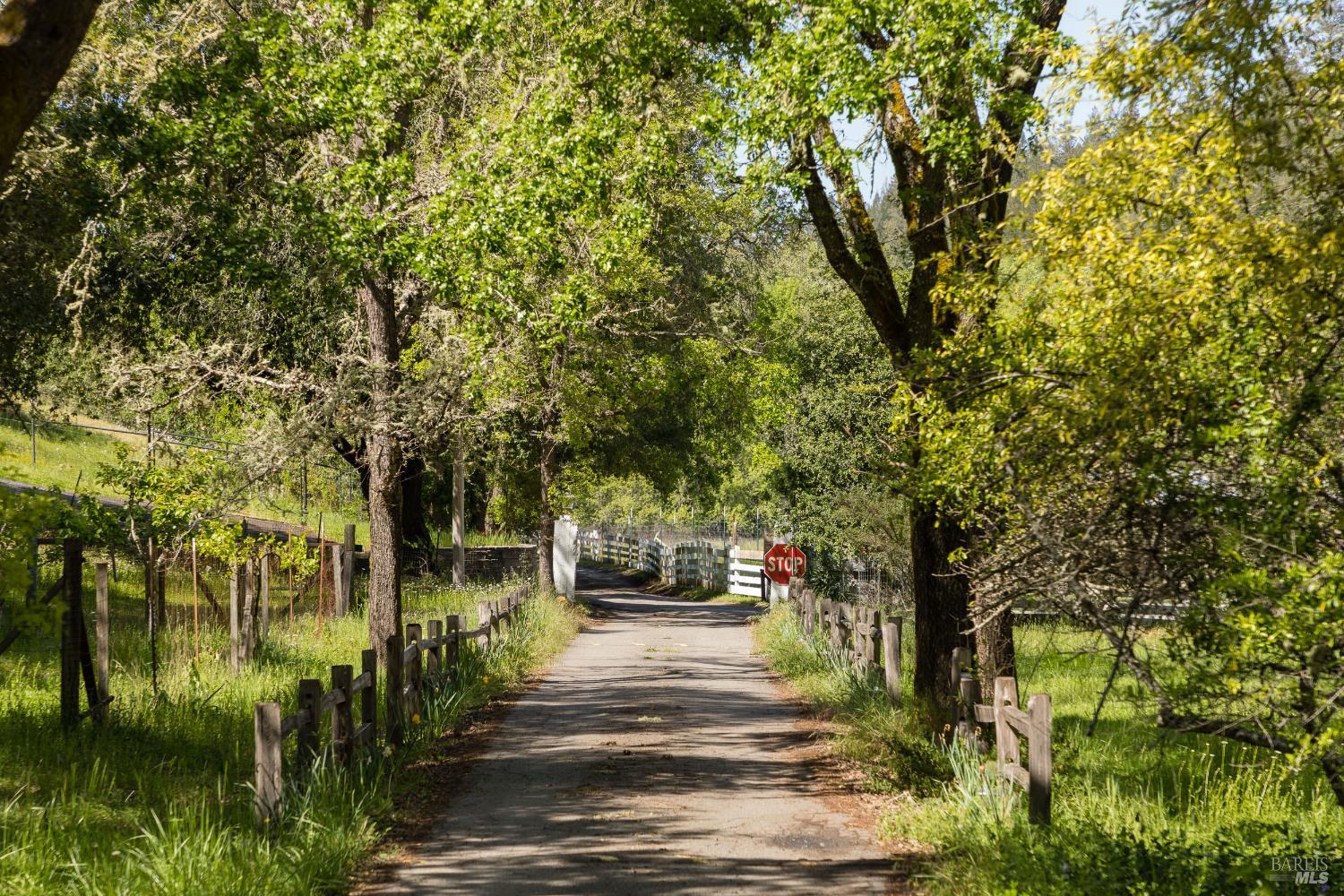 6764 Giovanetti Road Forestville, CA 95436 - Photo 39 of 45