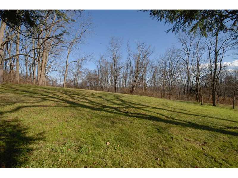 215 Dickerson Run Road Vanderbilt, PA 15486 - Photo 5 of 17 Yard/Garden. Back Yard