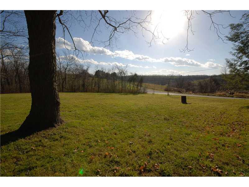 215 Dickerson Run Road Vanderbilt, PA 15486 - Photo 6 of 17 Yard/Garden. Side Yard