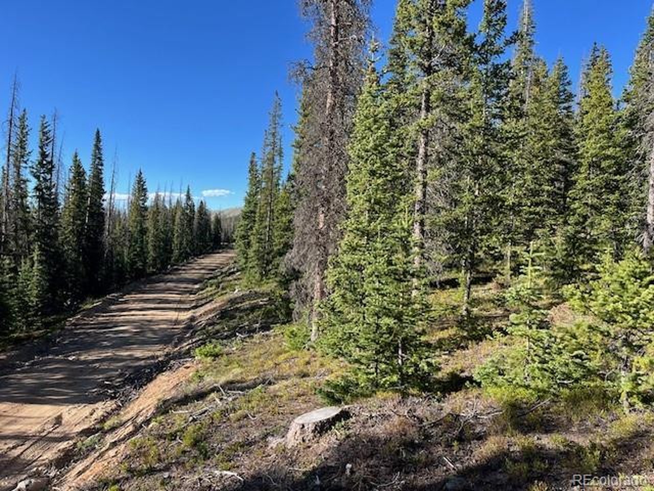 6525 Schlueter Road San Luis, CO 81152 - Photo 2 of 21 Looking down Schlueter