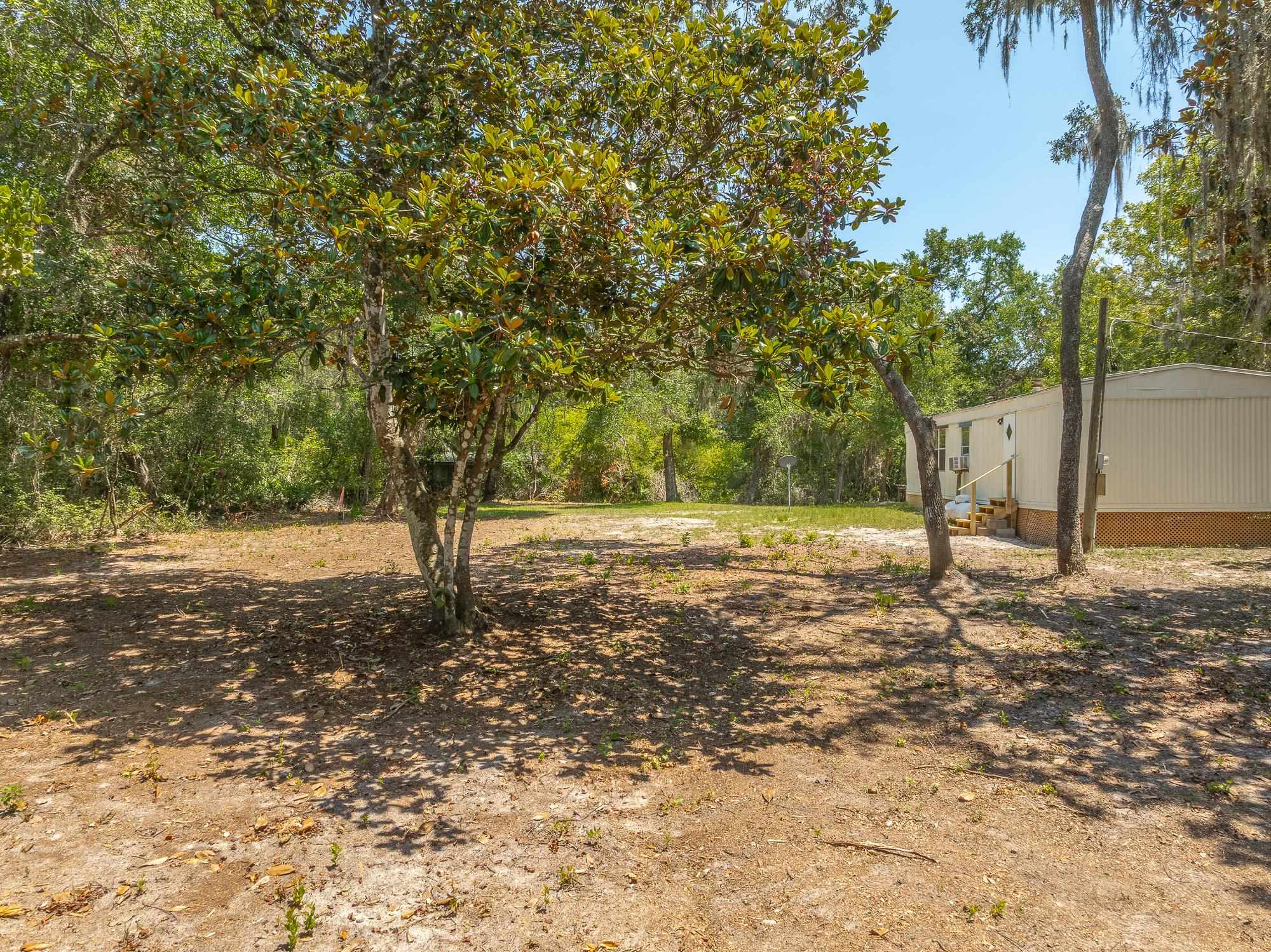 625 Maple Street Alligator Point, FL 32346 - Photo 28 of 31