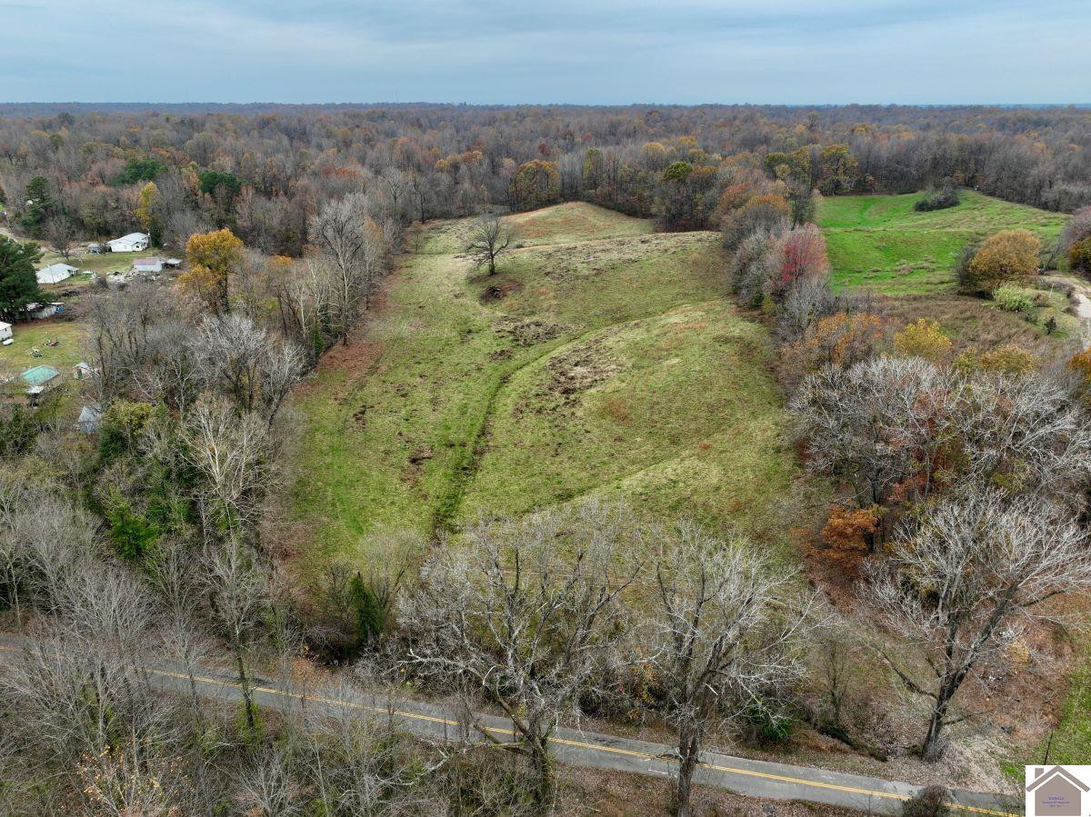0 Beech Grove Road Hickman, KY 42050 - Photo 19 of 35 Photo 19