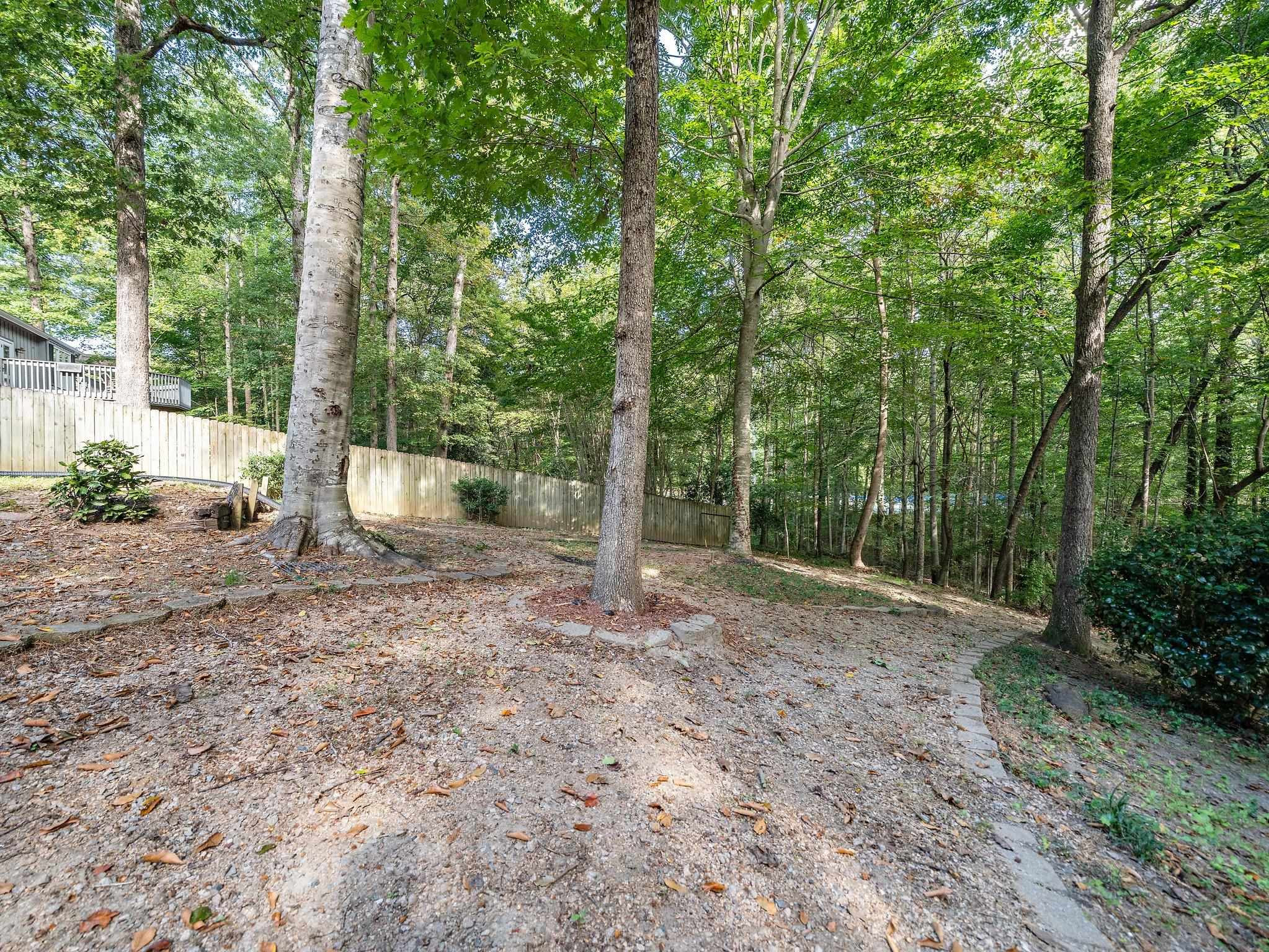 6304 Rushingbrook Drive Raleigh, NC 27612 - Photo 30 of 51 a view of a forest with trees
