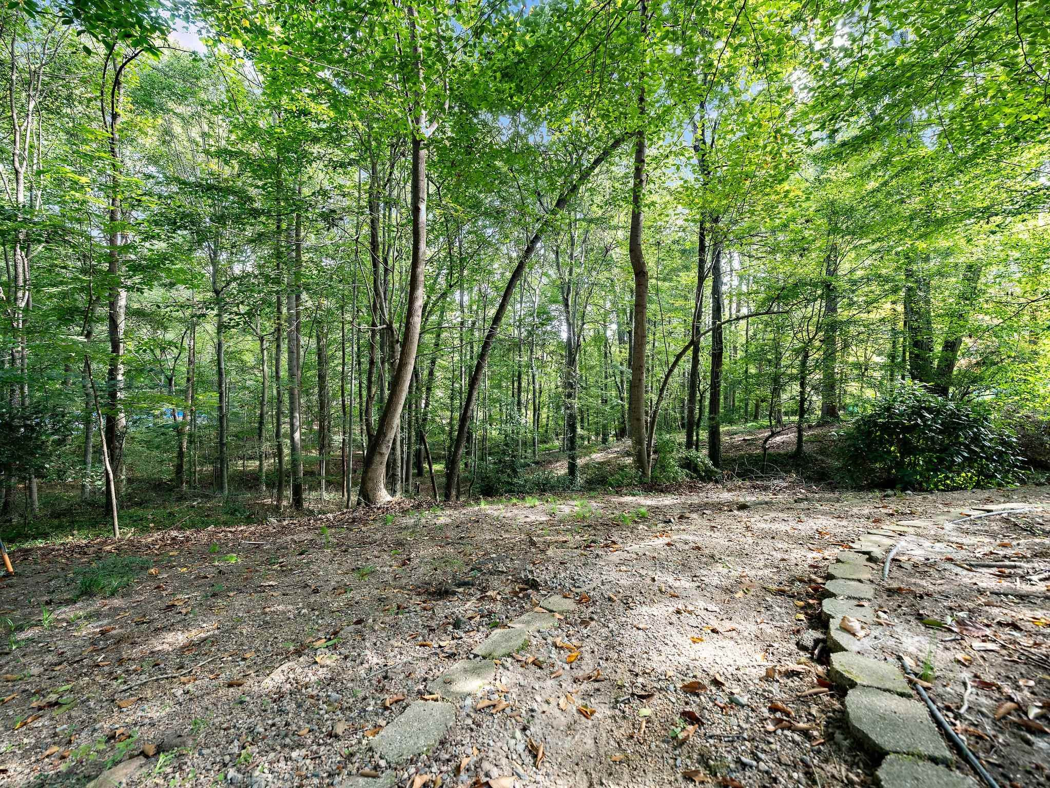 6304 Rushingbrook Drive Raleigh, NC 27612 - Photo 32 of 51 a view of outdoor space with trees