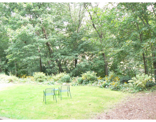 76 Day Street Newton, MA 02466 - Photo 3 of 10 Gallery Image 3