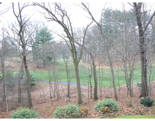76 Day Street Newton, MA 02466 - Photo 10 of 10 Gallery Image 10
