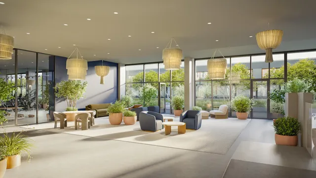 a living room with furniture and a potted plant