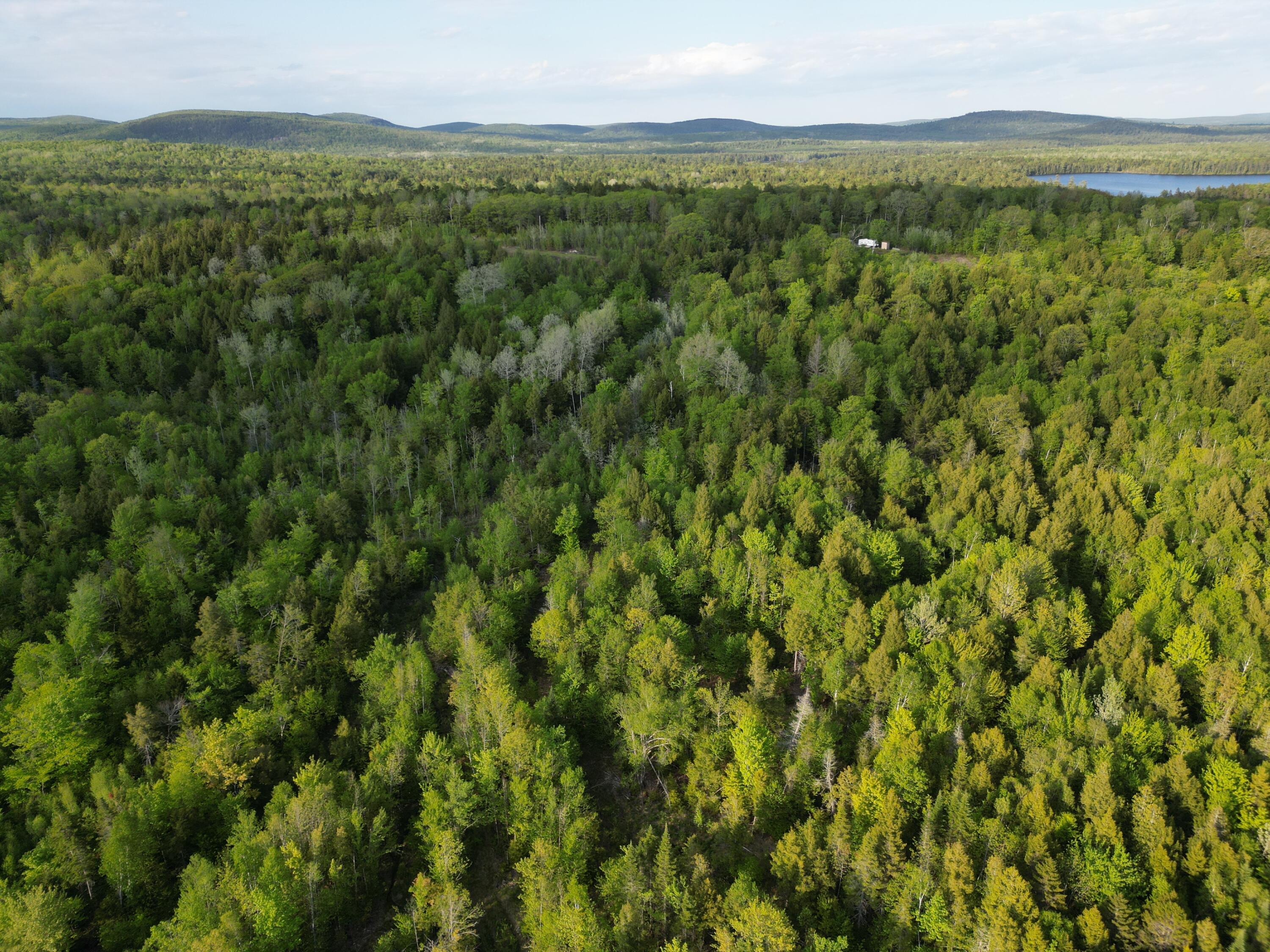 Lot 41-1 Bottle Lake Road Lakeville, ME 04487 - Photo 21 of 23 DJI_0620