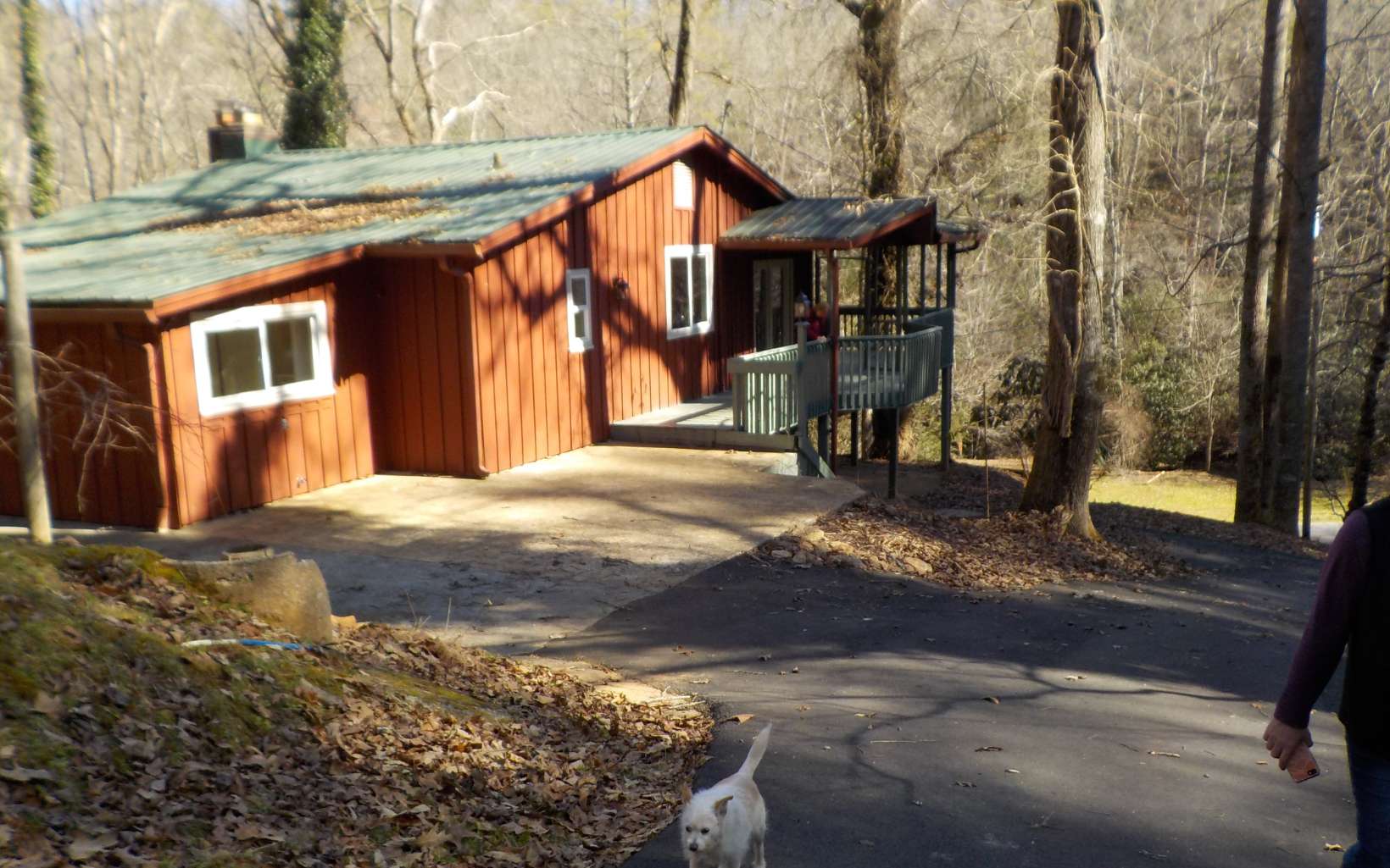 5313 Pine Log Road Brasstown, NC 28902 - Photo 2 of 4 Additional View