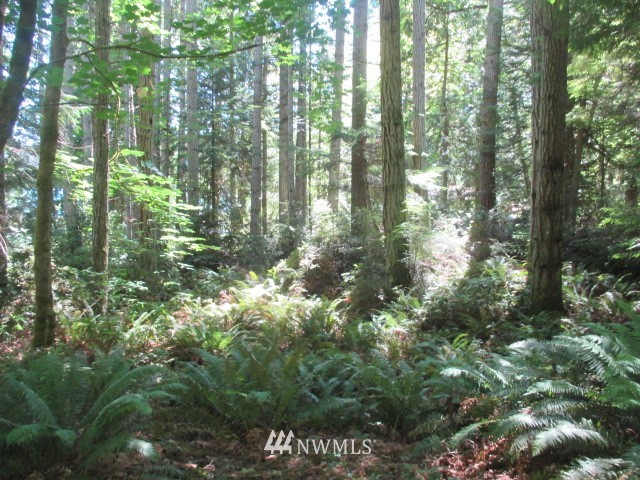400 Whitney Road Quilcene, WA 98376 - Photo 1 of 12 Gallery Image 1