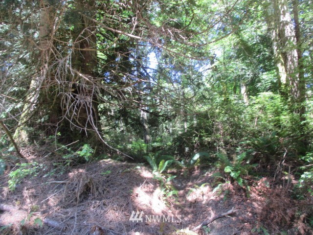 400 Whitney Road Quilcene, WA 98376 - Photo 2 of 12 Gallery Image 2