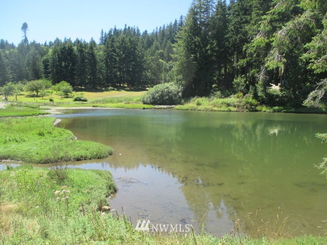 400 Whitney Road Quilcene, WA 98376 - Photo 12 of 12 Gallery Image 12