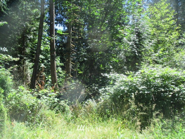 400 Whitney Road Quilcene, WA 98376 - Photo 3 of 12 Gallery Image 3