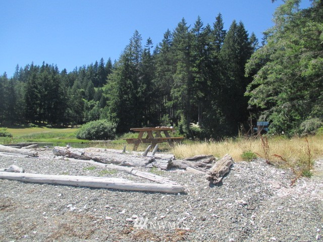 400 Whitney Road Quilcene, WA 98376 - Photo 8 of 12 Gallery Image 8