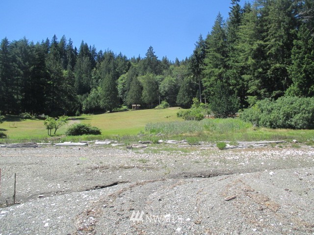 400 Whitney Road Quilcene, WA 98376 - Photo 9 of 12 Gallery Image 9