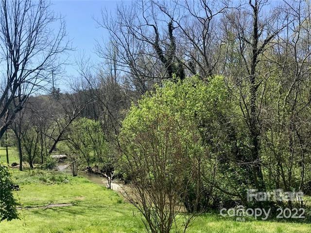 31 Banks Town Road Weaverville, NC 28787 - Photo 20 of 22