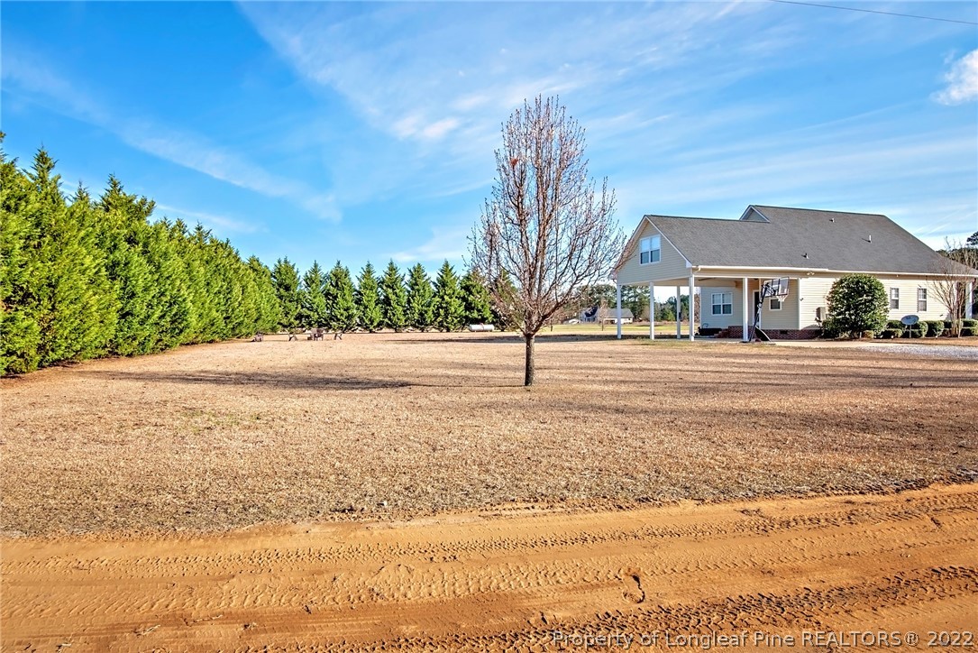 3577 Hayfield Road Wade, NC 28395 - Photo 46 of 47 a front view of a building with trees