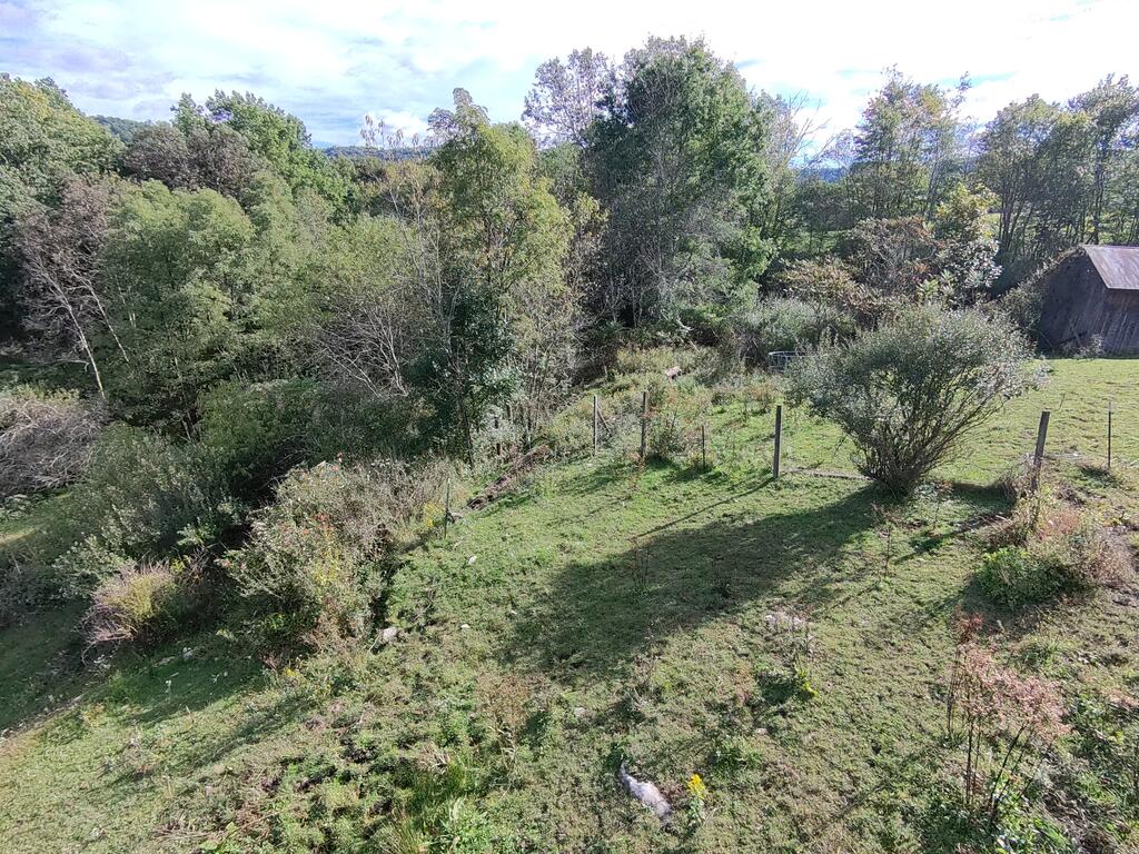 547 Smokey Br Road Danese, WV 25831 - Photo 19 of 31 Gallery Image 19