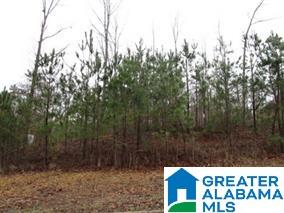 7926 Forest Loop, Unit 17 Pinson, AL 35126 - Photo 1 of 1