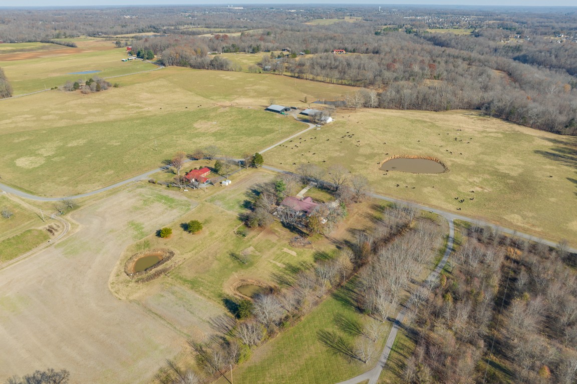 1030 Spring Creek Road Chapmansboro, TN 37035 - Photo 47 of 57 Gallery Image 47