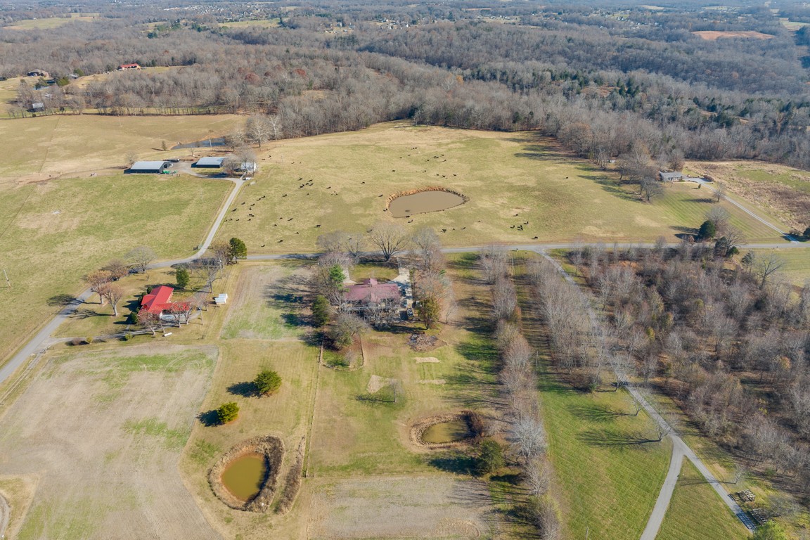 1030 Spring Creek Road Chapmansboro, TN 37035 - Photo 48 of 57 Gallery Image 48
